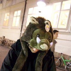 IMG 235